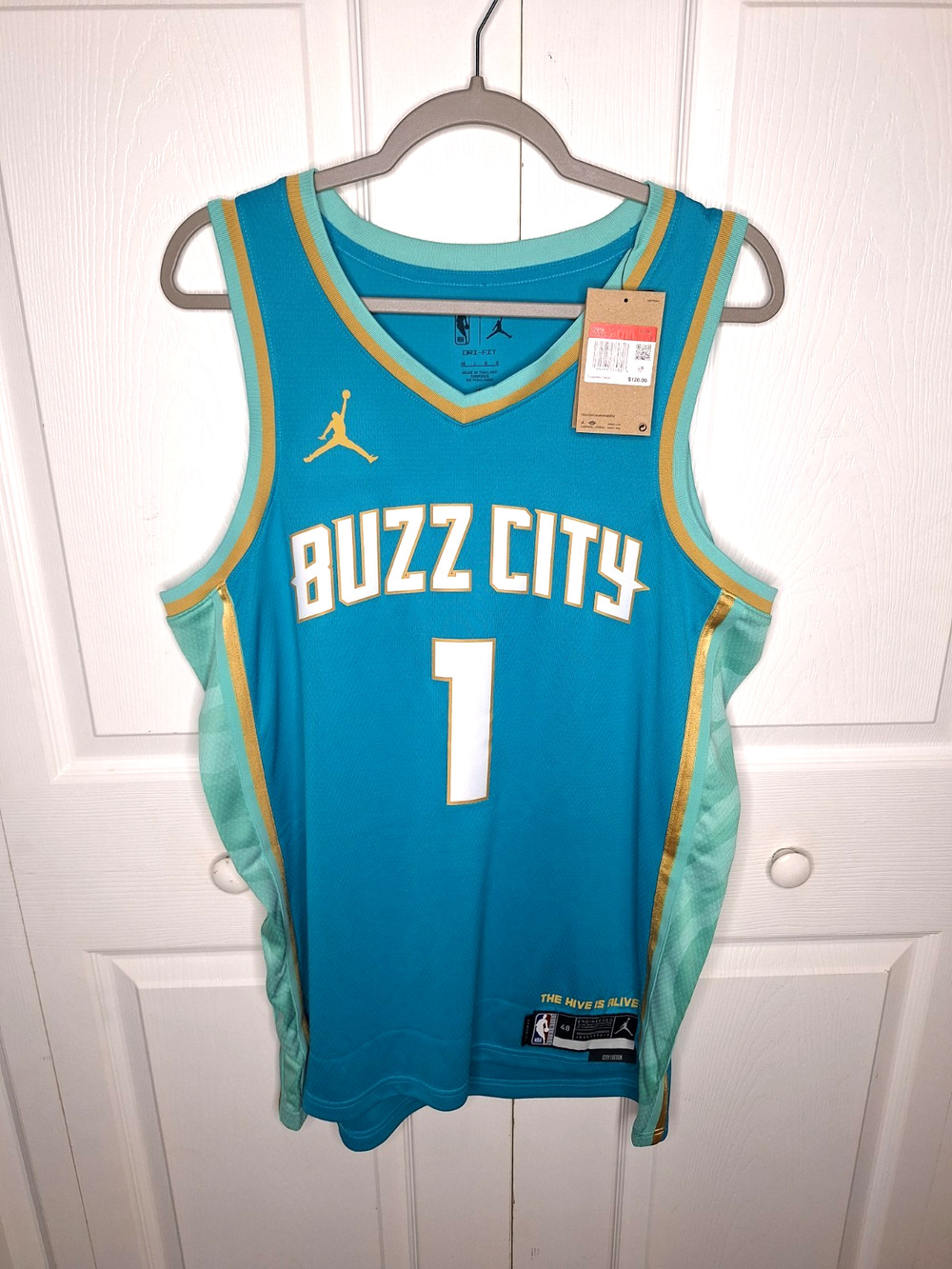 Nike NBA Charlotte Hornets City Edition Jersey LaMelo Ball #1 sz L DX8496-415
